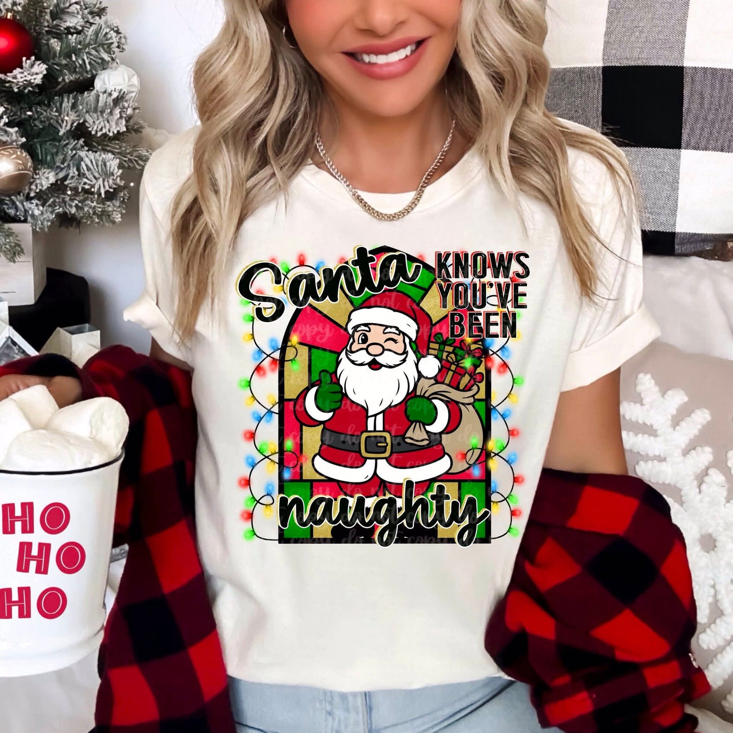 SANTA KNOWS YOU'VE BEEN NAUGHTY PNG DESIGN