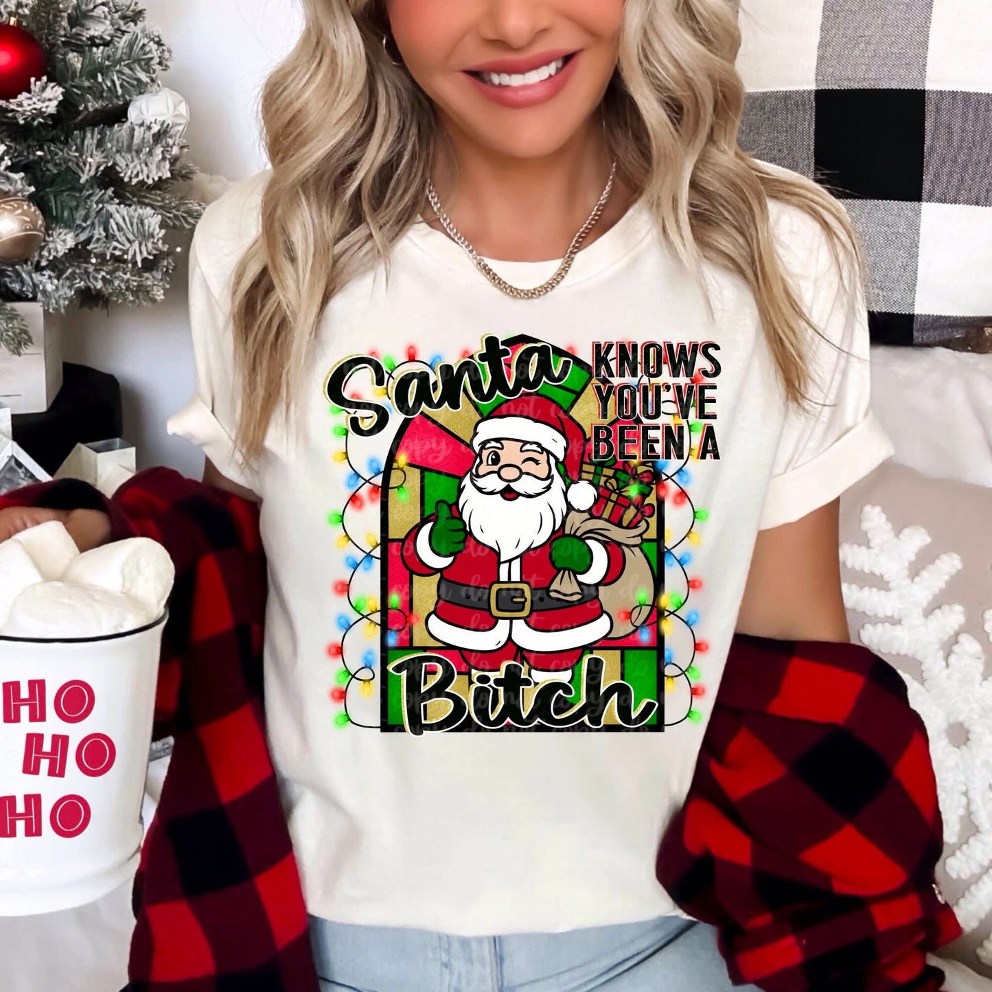 SANTA KNOWS YOU'VE BEEN A B**CH PNG DESIGN