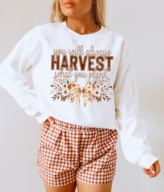 YOU WILL ALWAYS HARVEST WHAT YOU PLANT PNG DESIGN