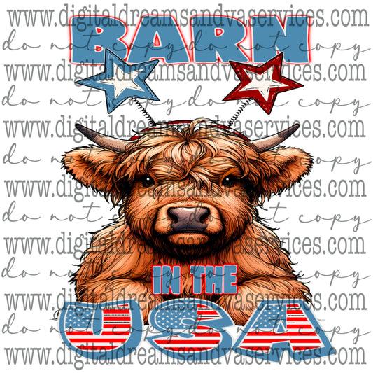 BARN IN THE USA PNG DESIGN
